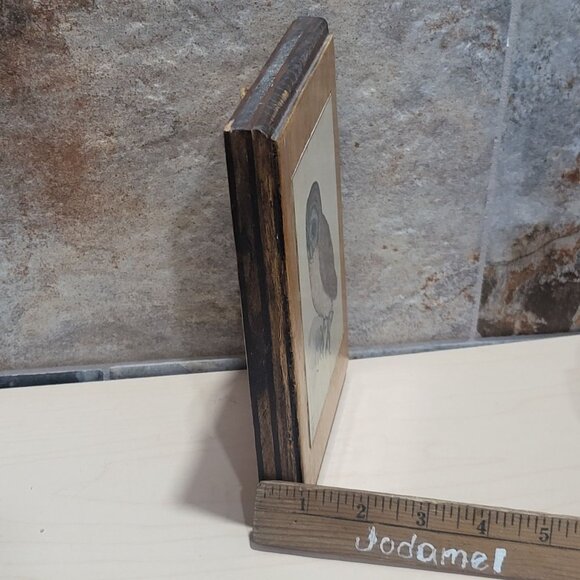 Vintage Framed Print The Little Owl Albrecht Durer - Picture 10 of 10